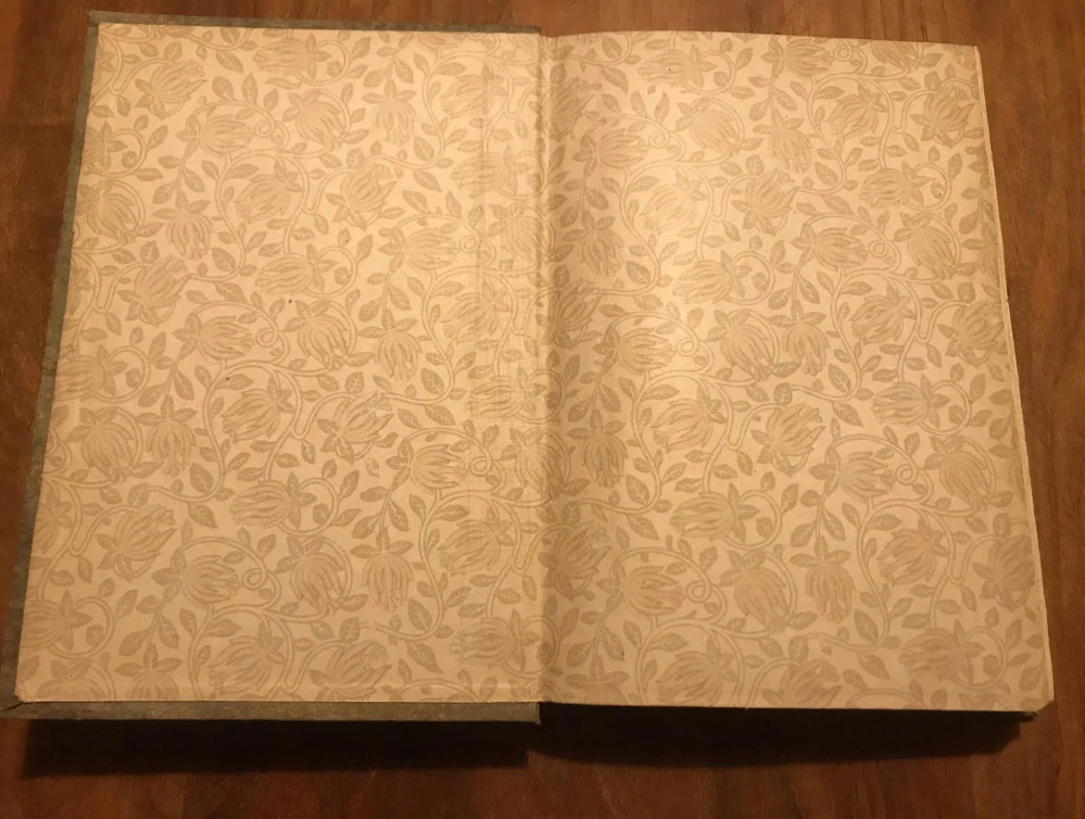 Passiflora - Román - Jos. R. Vilímek - 1903 - 1. vydání - 246 stran - Karel Sezima