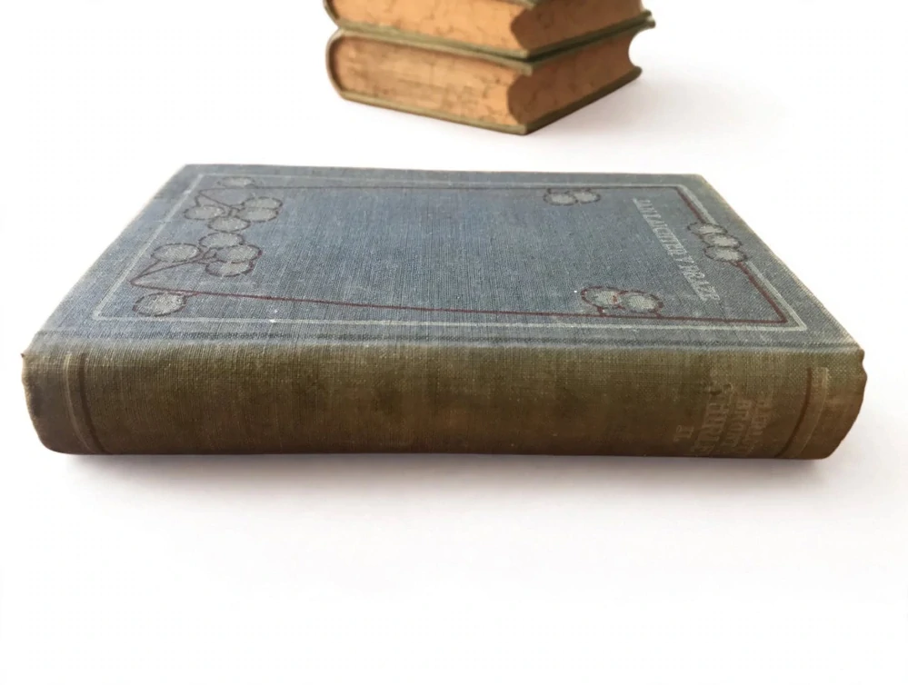 Shirley. Díl první - Charlotte Brontë - 1906